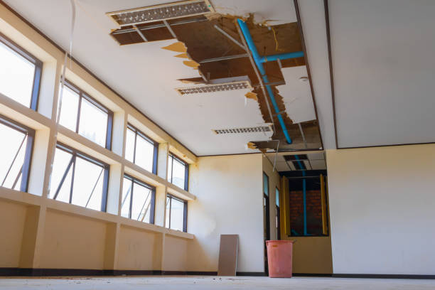 Best Flood restoration services  in Ocean Pointe, HI