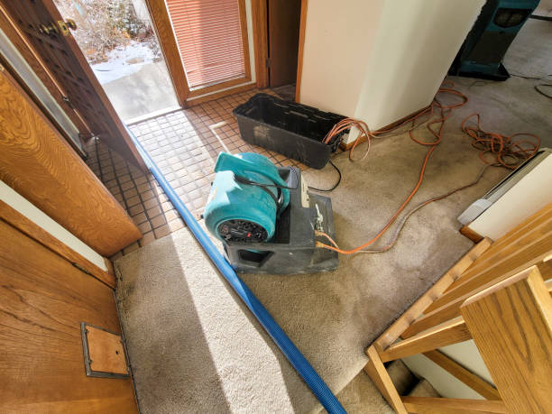 Best Fire Damage Restoration  in Ocean Pointe, HI
