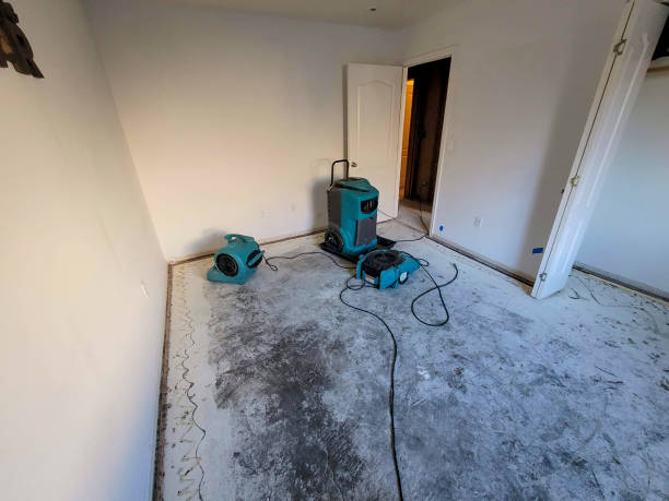Best Carpet water damage restoration  in Ocean Pointe, HI
