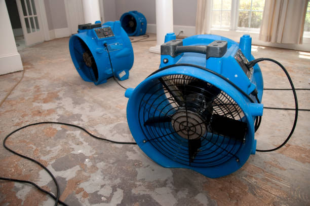 Best Water damage cleanup near me  in Ocean Pointe, HI