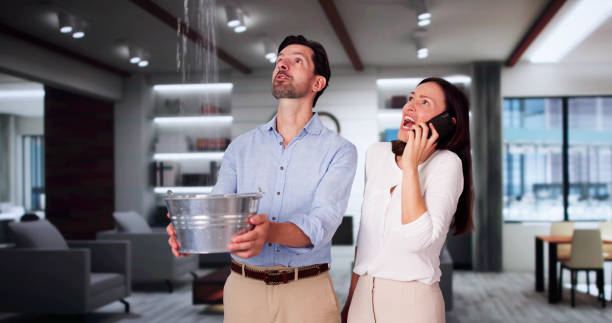 Carpet water damage restoration in HI